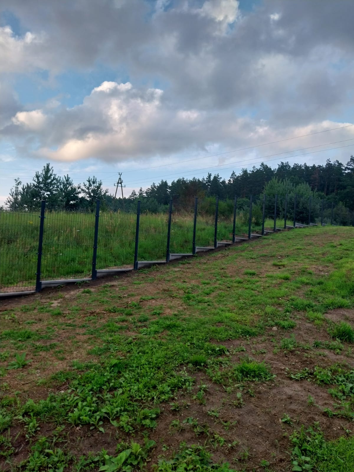 Nowoczesne, czarne ogrodzenie panelowe na nierównym terenie, z widokiem na las i pochmurne niebo. Słupy osadzone na betonowej podmurówce.