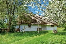 Bielona chata kryta strzechą na zielonej łące, otoczona kwitnącymi drzewami. Widoczny fragment studni i drewniane ogrodzenie. Sielski krajobraz.