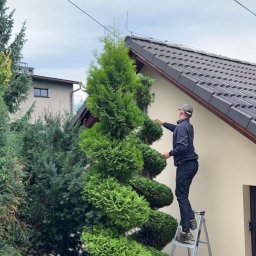 Przycinanie drzew Wieprz 4