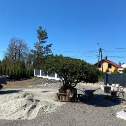 Przycinanie drzew Wieprz 2