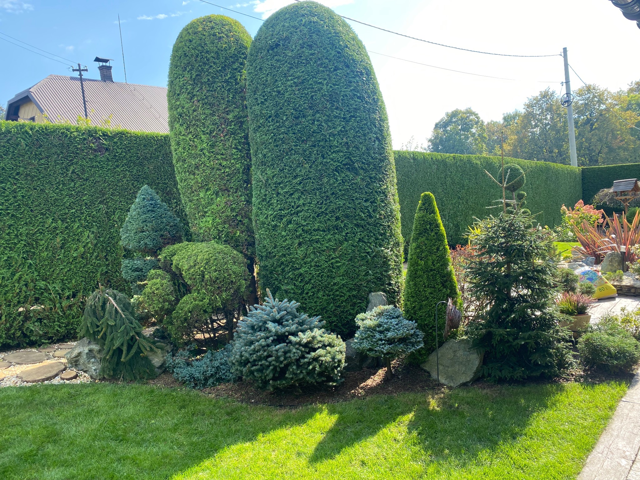 Ogród z formowanymi krzewami i drzewami iglastymi, w tle żywopłot. Widoczne różne gatunki i kształty roślin, kamienie ozdobne. Słoneczny dzień.