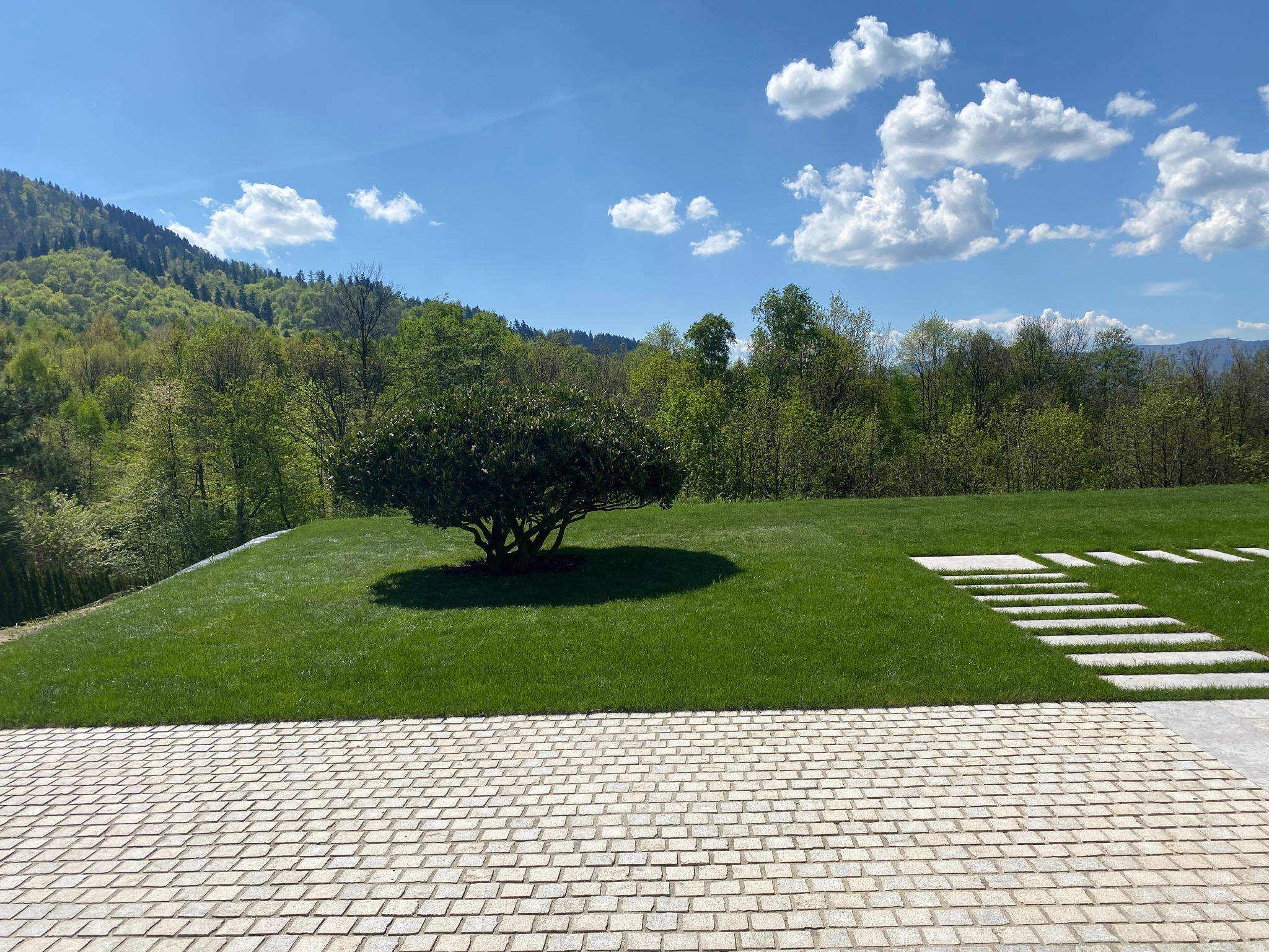 Zadbany trawnik z drzewem w ogrodzie na wzgórzu, z kamienną ścieżką i kostką brukową, w tle zalesione zbocze i błękitne niebo z chmurami.
