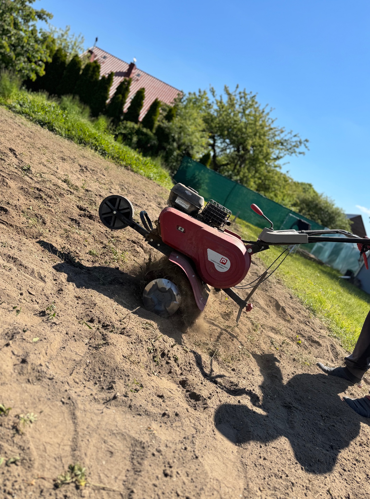 Czerwony glebogryzarek spalinowy przygotowuje ziemię pod uprawę na działce w słoneczny dzień. W tle widoczny dom z czerwonym dachem i zielone drzewa.