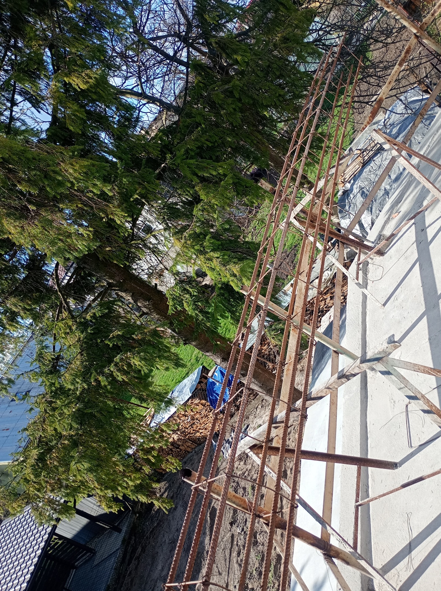 Zbrojenie pionowe na tle drzewa i domu. Widoczne rustykalne pręty zbrojeniowe, betonowa konstrukcja i fragment dachu. Ujęcie z góry, w słoneczny dzień.