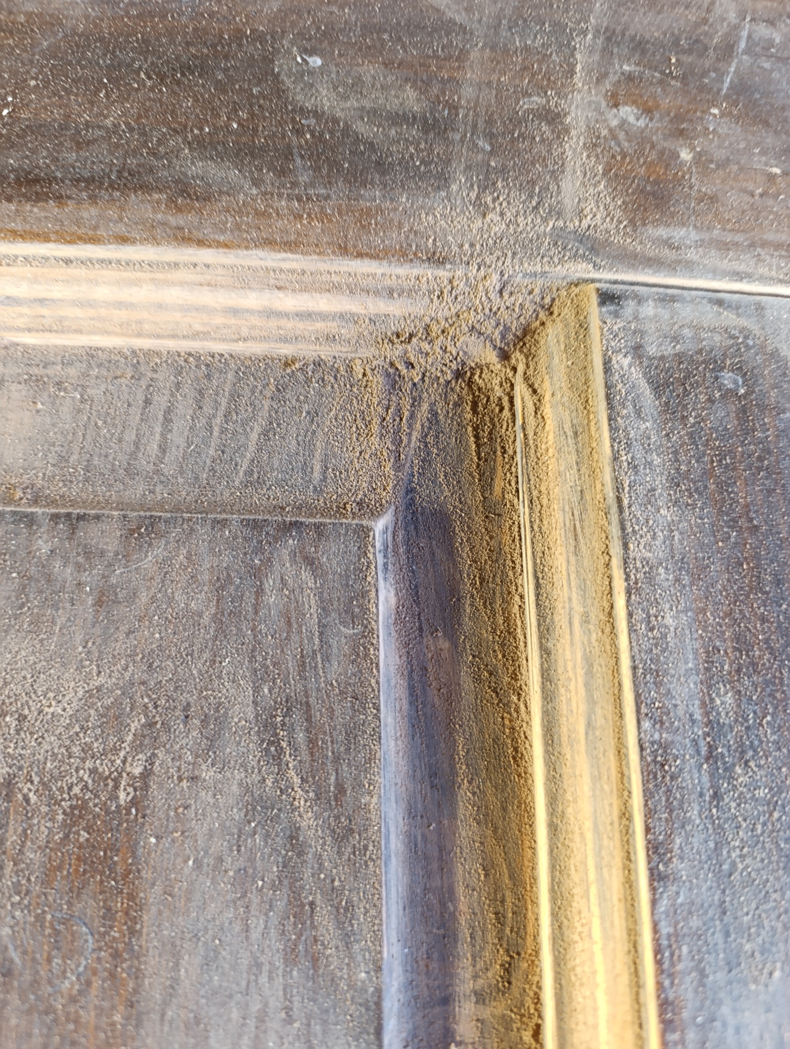 Fragment drewnianej powierzchni, prawdopodobnie drzwi, pokryty warstwą pyłu po szlifowaniu. Widoczne detale frezowania. Bliskie ujęcie, ostre światło.