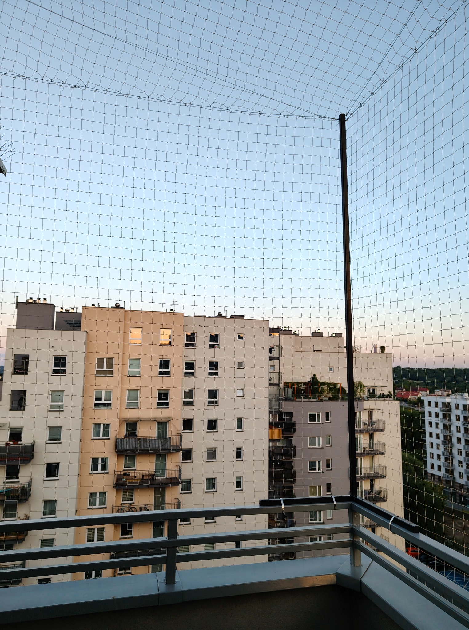 Siatka ochronna na balkonie z widokiem na budynki mieszkalne o zachodzie słońca. Zabezpieczenie przed ptakami na tle błękitnego nieba.
