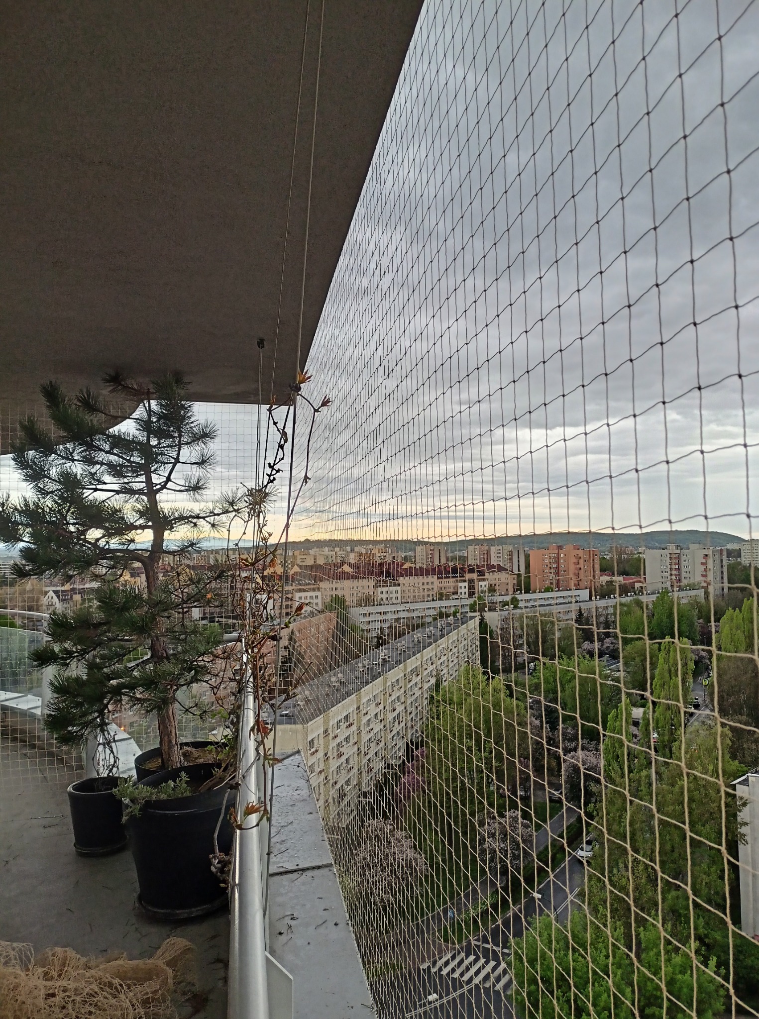 Zabezpieczony siatką balkon z widokiem na miasto. W tle budynki i zieleń. Na balkonie donice z drzewkami iglastymi. Ujęcie z góry, siatka zabezpieczająca na pierwszym planie.