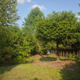 Wycinka drzew Białystok 2