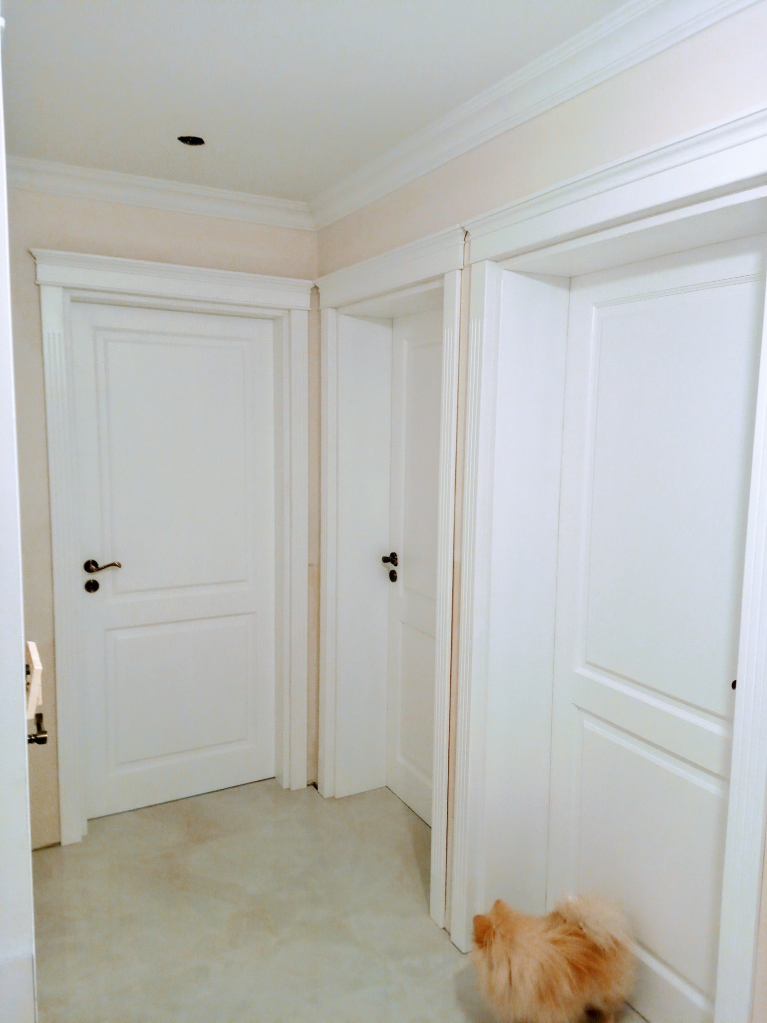 Wnętrze z trzema białymi, panelowymi drzwiami z ciemnymi klamkami. Widoczny fragment sufitu z listwami dekoracyjnymi i mały pies rasy szpic miniaturowy.