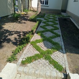 Waldek tobiaski - Kreatywnie ułożona ścieżka z kostki granitowej z zygzakowatymi pasami zieleni, prowadząca przez ogród w słoneczny dzień. Nietypowy wzór i dbałość o detale.