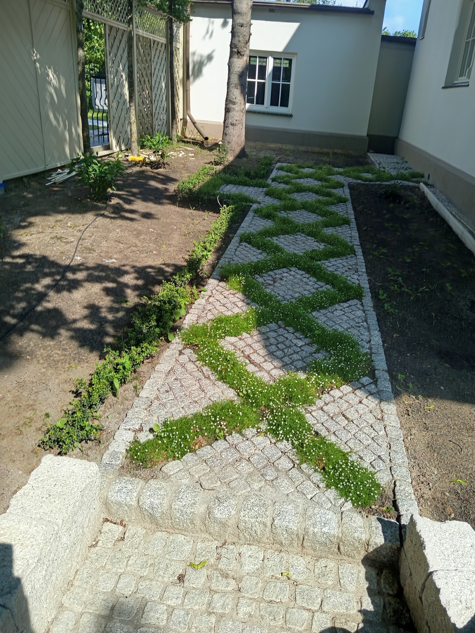 Kreatywnie ułożona ścieżka z kostki granitowej z zygzakowatymi pasami zieleni, prowadząca przez ogród w słoneczny dzień. Nietypowy wzór i dbałość o detale.