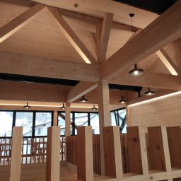 Domy szkieletowe Rembelszczyzna 4