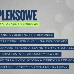 Wycinka drzew Marszowice 2