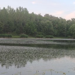 Sprzątanie mieszkań Wysocko Małe 1