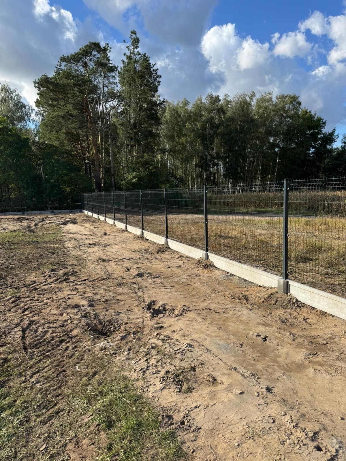 Nowoczesne ogrodzenie panelowe z podmurówką betonową na nierównym terenie, w tle las i błękitne niebo z chmurami. Widok z boku, podkreślający solidność konstrukcji.