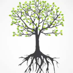 Grafika drzewa z zielonymi liśćmi i widocznymi korzeniami na białym tle. Ilustracja w stylu minimalistycznym.