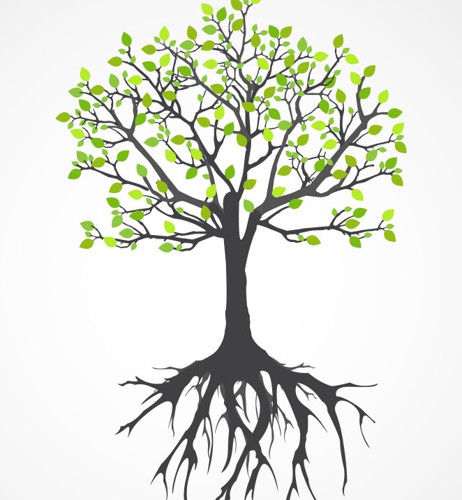 Grafika drzewa z zielonymi liśćmi i widocznymi korzeniami na białym tle. Ilustracja w stylu minimalistycznym.
