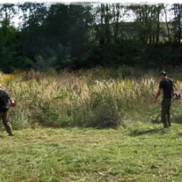 Czyszczenie działki pod zabudowę w Bisztynku