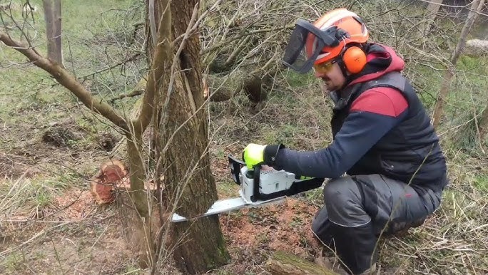 Zdjęcie z realizacji czyszczenia działki w powiecie Dobre Miasto