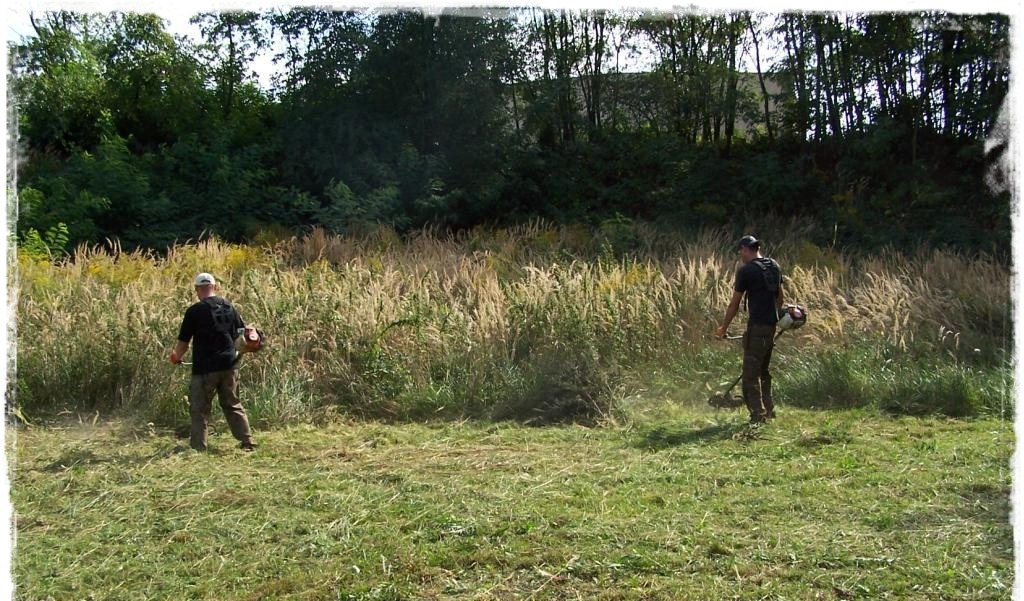 Czyszczenie działki pod zabudowę w Bisztynku