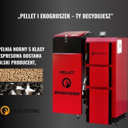 Piece na paliwo stałe Tomaszew 4