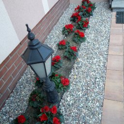 Niwelacja terenu Poznań 3