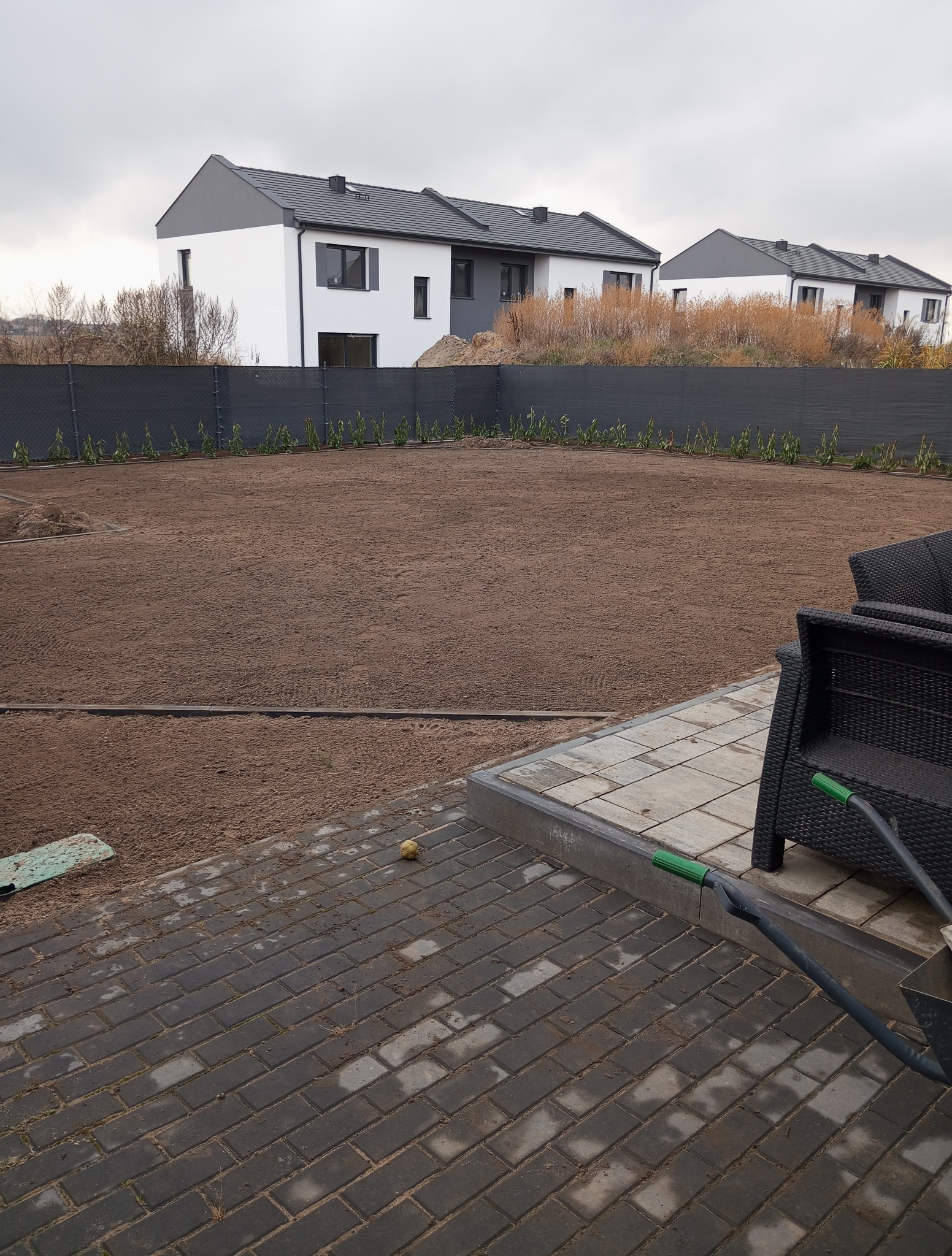 Przygotowany teren pod trawnik, obrzeża z kostki, posadzone tuje wzdłuż ogrodzenia. W tle nowoczesne domy.