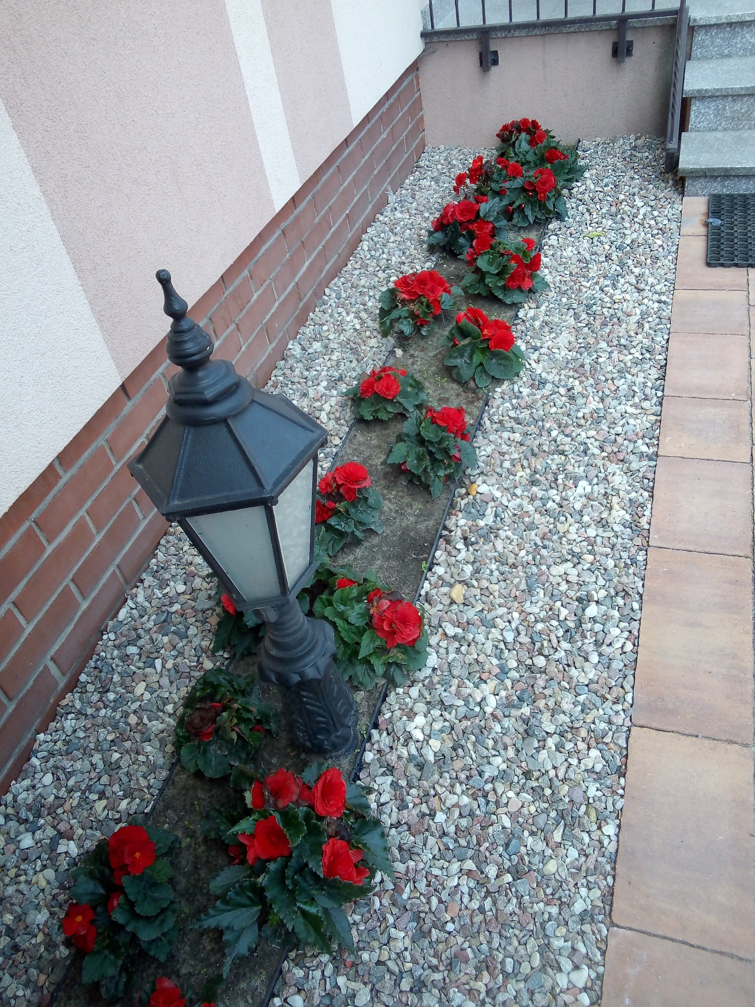 Kaskadowe nasadzenia czerwonych kwiatów wzdłuż ścieżki z kamyków, oświetlone przez ozdobną, czarną latarnię. Widok z góry, podkreślający detale kompozycji.