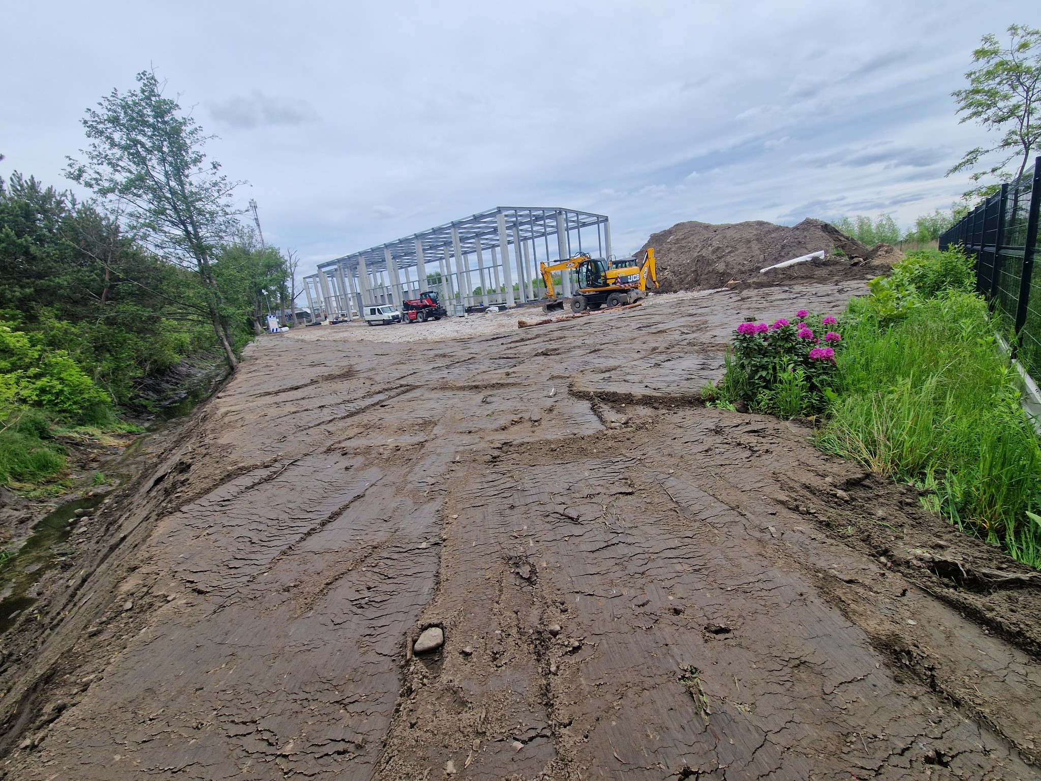 Żółta koparka JCB przy konstrukcji hali. W tle sterta ziemi i zielona roślinność. Na pierwszym planie teren po niwelacji z widocznymi śladami opon.
