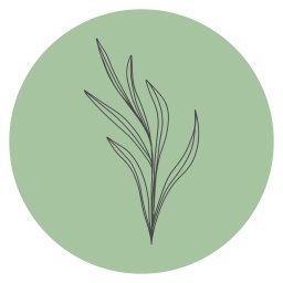 greenart - Realizacja Ogrodów Wrocław