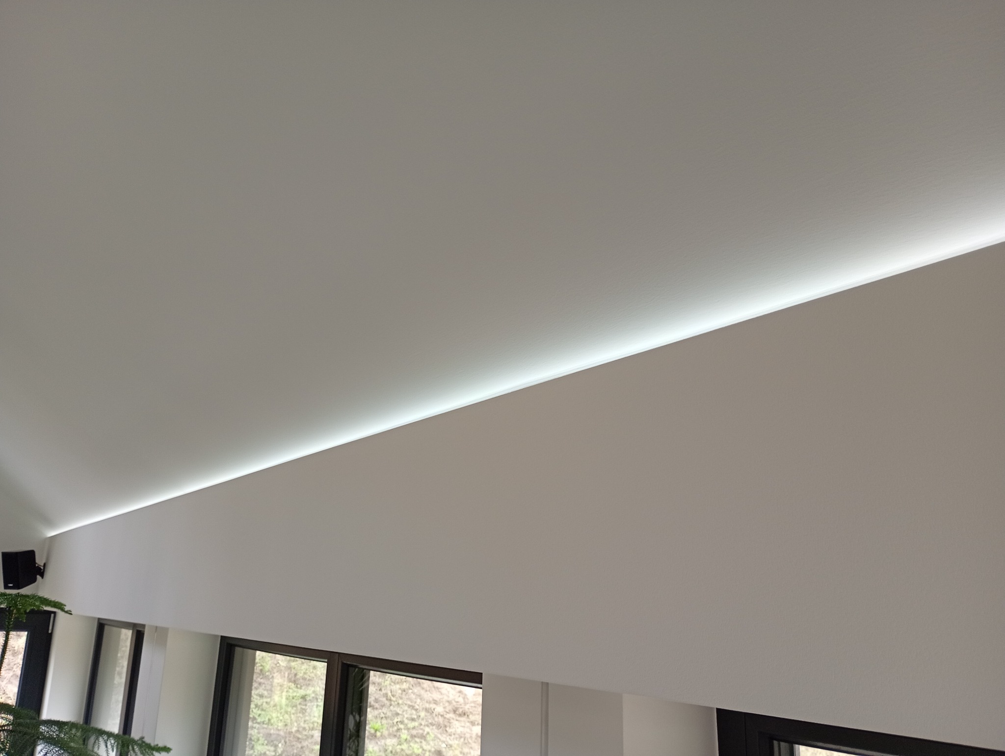 Biały sufit z subtelnym oświetleniem LED wzdłuż krawędzi, widoczne okna z czarnymi ramami i zieleń za nimi. Minimalistyczny design.