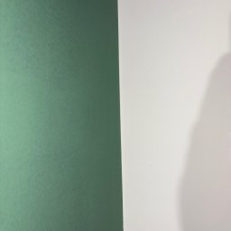 Oskar Polak Wykończenia Wnętrz - Ściana pomalowana na dwa kolory: zielony i biały. Widoczna delikatna faktura farby. Na białej ścianie cień.