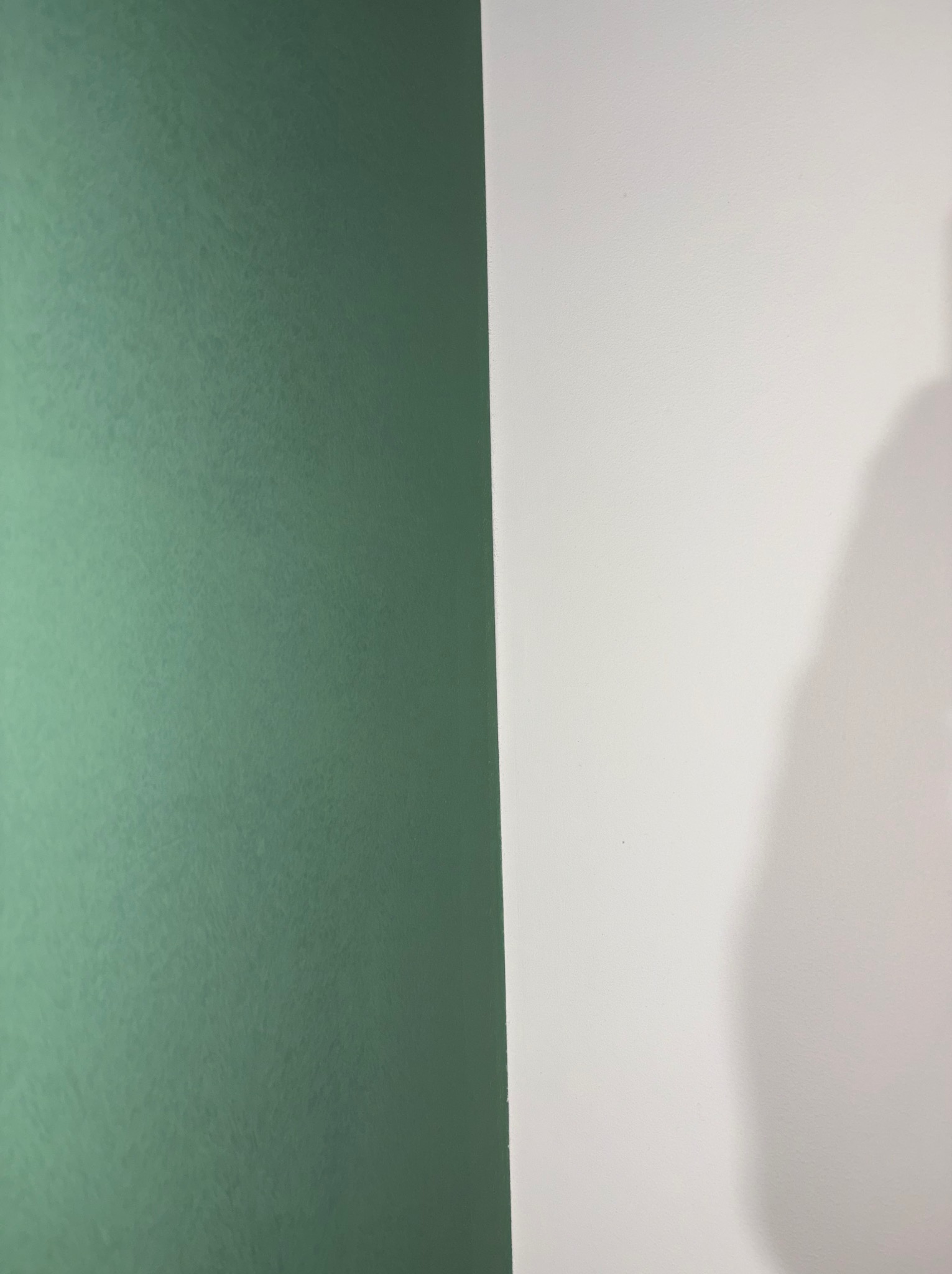 Ściana pomalowana na dwa kolory: zielony i biały. Widoczna delikatna faktura farby. Na białej ścianie cień.