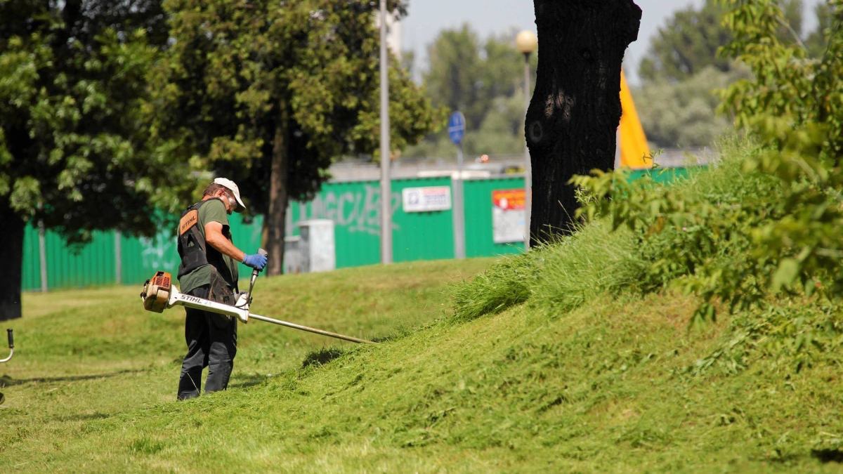 Pracownik w zielonej koszulce kosi trawę na pagórku za pomocą podkaszarki Stihl. W tle zielone ogrodzenie placu budowy i drzewa.
