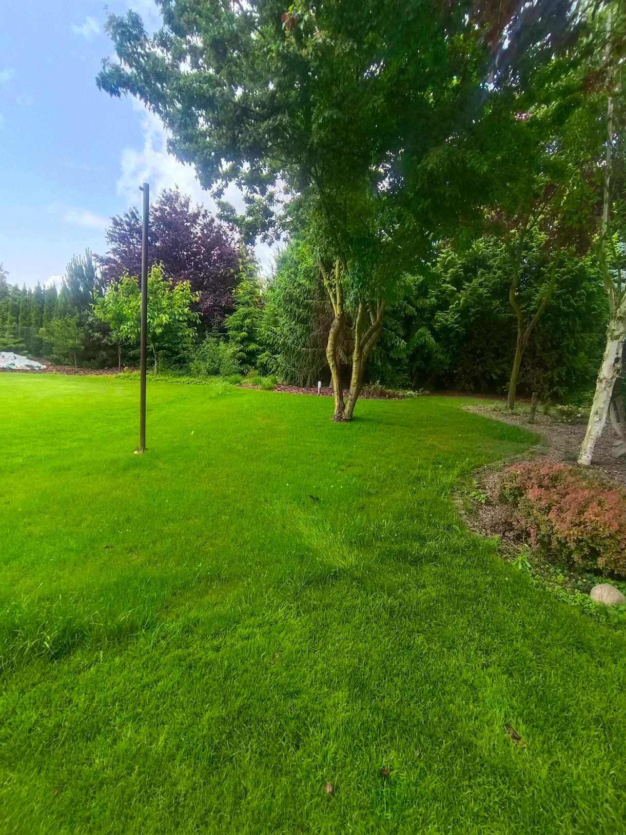 Zadbany trawnik z drzewami i krzewami ozdobnymi. Widoczny maszt oświetleniowy. Starannie utrzymana zieleń i obrzeża rabat. Letni krajobraz.