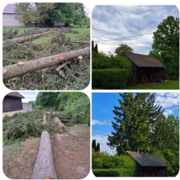 Wycinka drzew Częstochowa 1