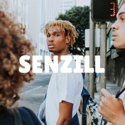 _bootelka Studio Graficzne - Młody mężczyzna z dredami na tle miejskim, z napisem 'SENZILL'. Ujęcie z dołu, widoczne budynki i sygnalizacja świetlna. Styl miejski, casual.