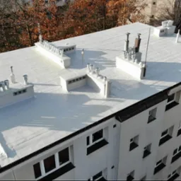 Hydroizolacja dachu pokrytego papą płynną membraną dachową