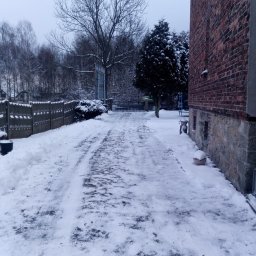 Prywatnie usługi ogrodnicze, porządkowe, transport - Usługi w ogrodzie Bieruń