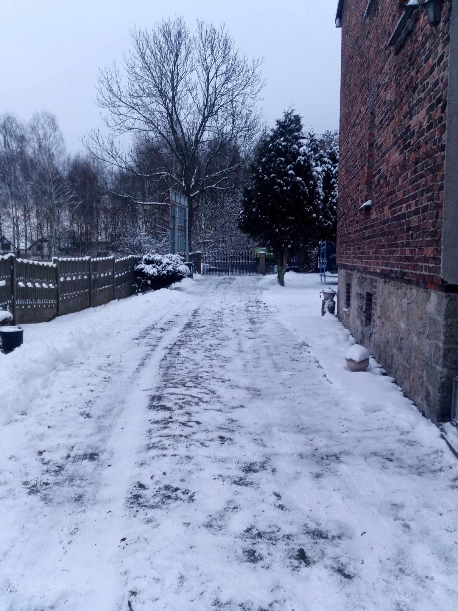 Zimowy krajobraz z odśnieżoną alejką prowadzącą do bramy, obok ceglany budynek i drzewa pokryte śniegiem. Ślady opon na śniegu. Pochmurne niebo.