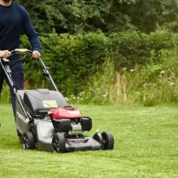 Mężczyzna kosi trawę kosiarką Honda na tle zielonego ogrodu. Krzewy i drzewa w tle. Skoszona trawa równo przycięta.