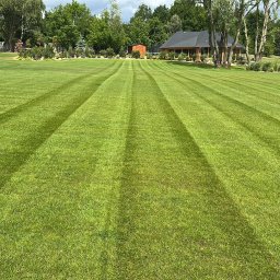 Przeprowadzki Opalenica 1