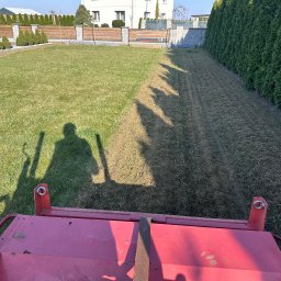 Magiczny Trawnik - Aeracja trawnika z użyciem aeratora mechanicznego. Widoczny cień operatora i maszyna na tle podzielonego trawnika: część po aeracji, część przed. Tuje w tle.