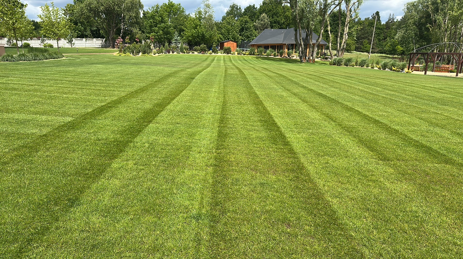 Perfekcyjnie skoszony trawnik z wyraźnymi pasami, prowadzącymi wzrok do domu w tle, otoczonego zielenią drzew i krzewów. Widoczne równo przystrzyżone krawędzie.