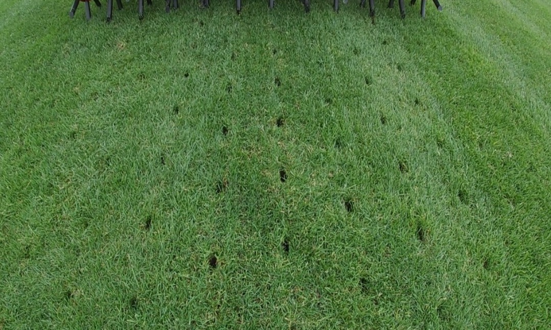 Zielony trawnik z widocznymi, regularnie rozmieszczonymi otworami po aeracji. W tle widoczne narzędzie do aeracji. Perspektywa z góry.