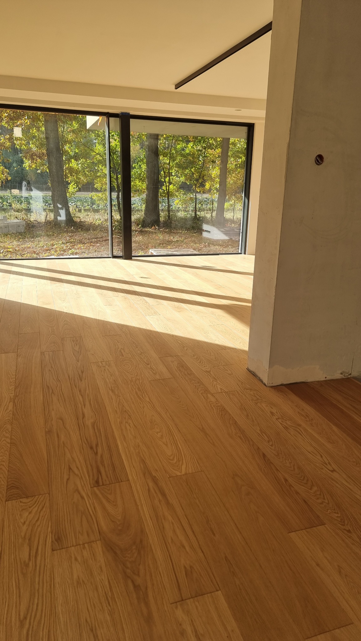 Jasne parkiet w nowym wnętrzu z dużym oknem na las w jesiennej scenerii. Promienie słońca padają na podłogę, tworząc długie cienie.