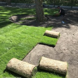 Zakładanie ogrodów Warszawa 3