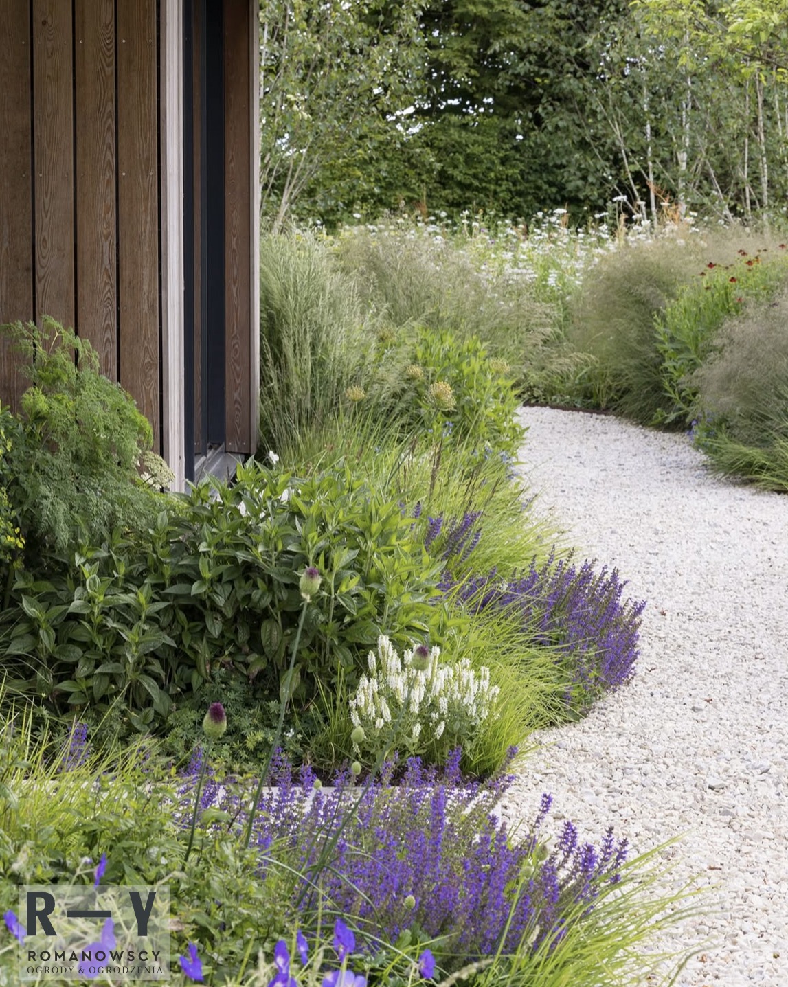 Ogród z kamienną ścieżką i rabatami, gdzie dominują fioletowe szałwie, trawy ozdobne i drewniana elewacja budynku w tle. Naturalny krajobraz.