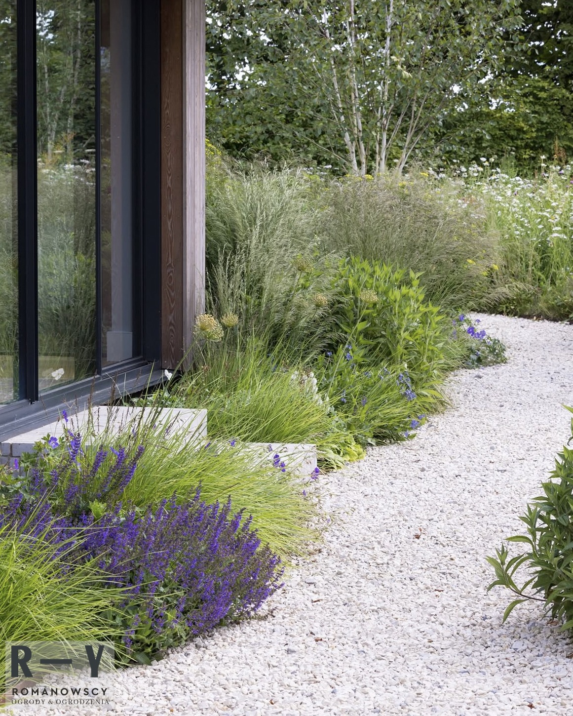 Kwitnąca szałwia obok ścieżki z białego żwiru, przy nowoczesnym domu z dużymi oknami. Kompozycja z traw ozdobnych i bylin w tle.