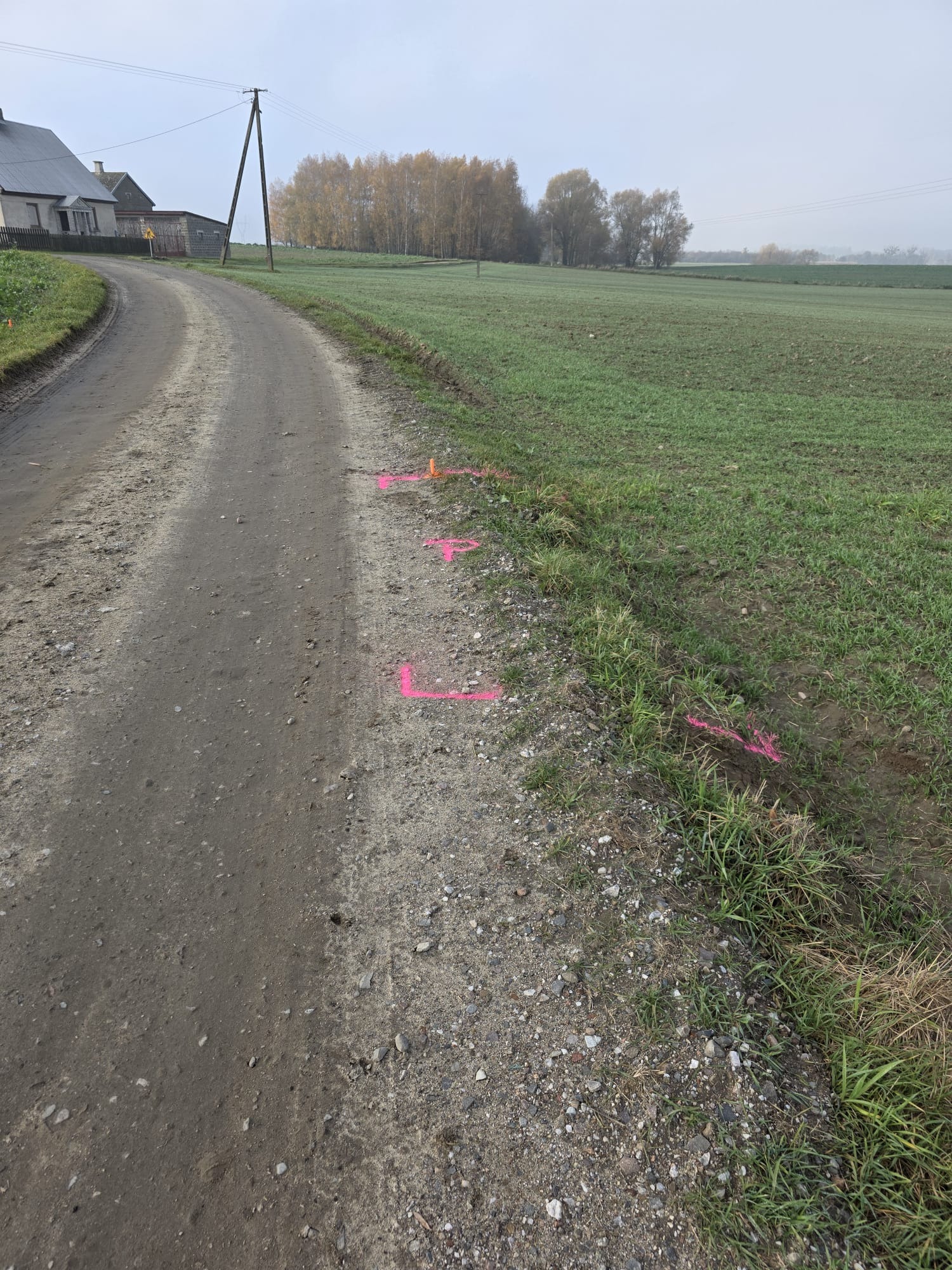 Polna droga z widocznymi, różowymi oznaczeniami geodezyjnymi w terenie. W tle budynek i drzewa. Pochmurny dzień.
